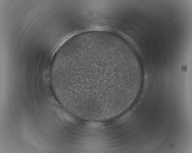 X0000110941170200907311009