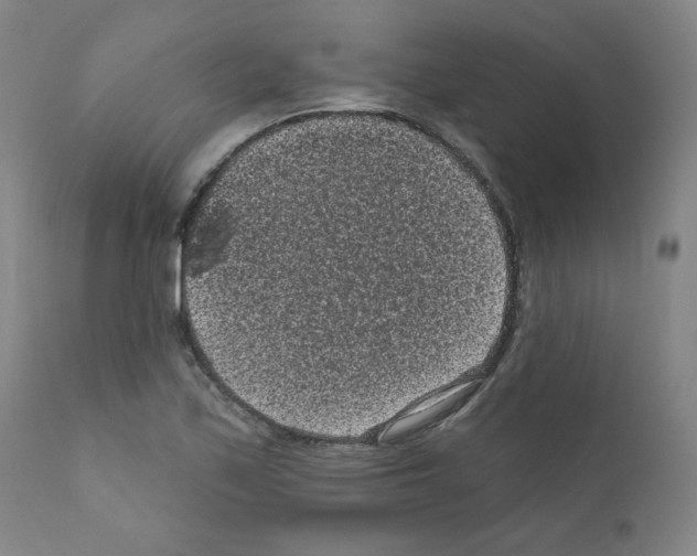 X0000110941171200907311009
