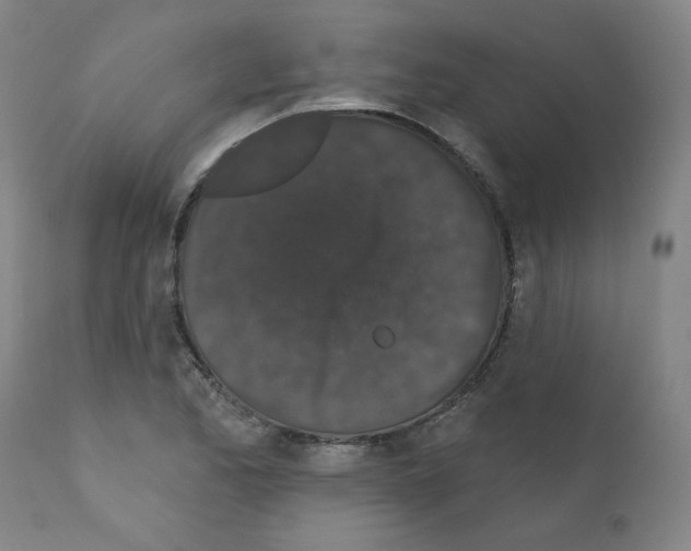 X0000110941173200907311009
