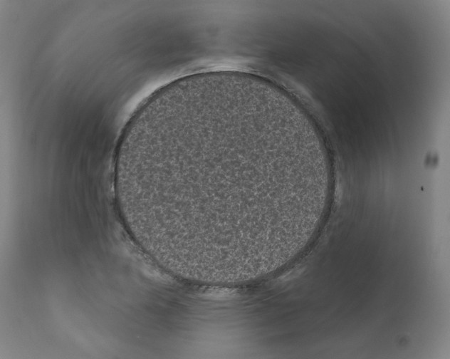 X0000110941174200907311009