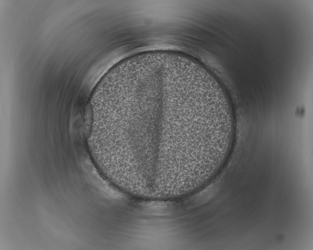 X0000110941177200907311009