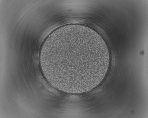 X0000110941178200907311009
