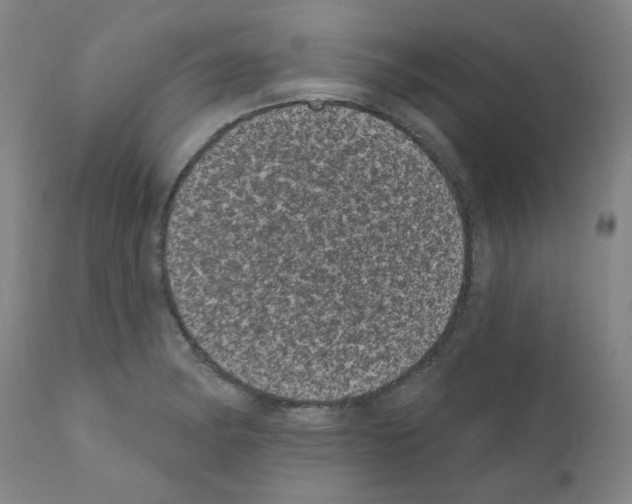 X0000110941182200907311009