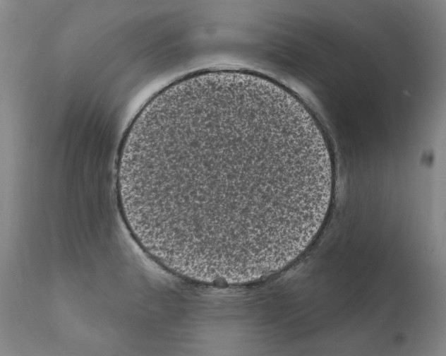 X0000110941183200907311009