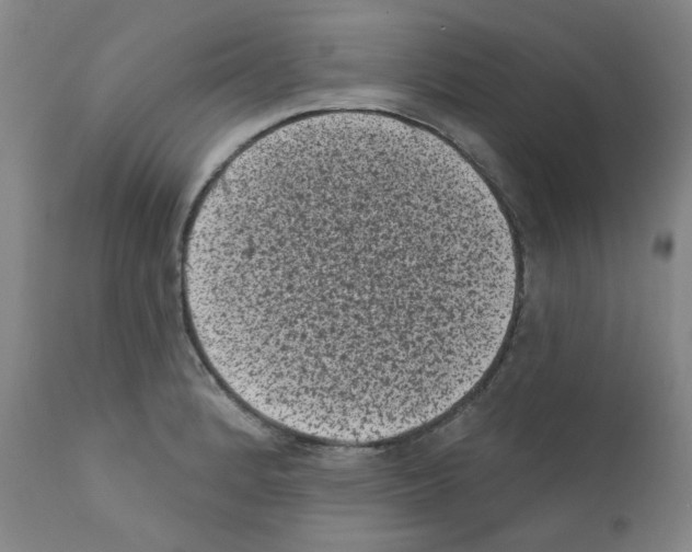 X0000110941184200907311009