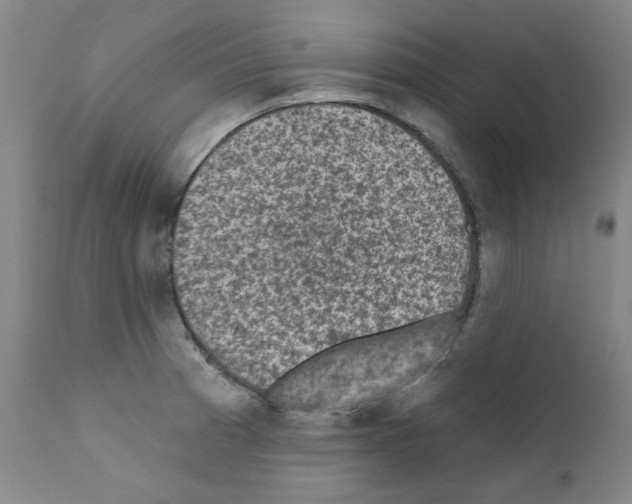 X0000110941185200907311009