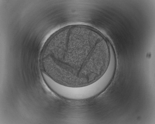 X0000110941189200907311009