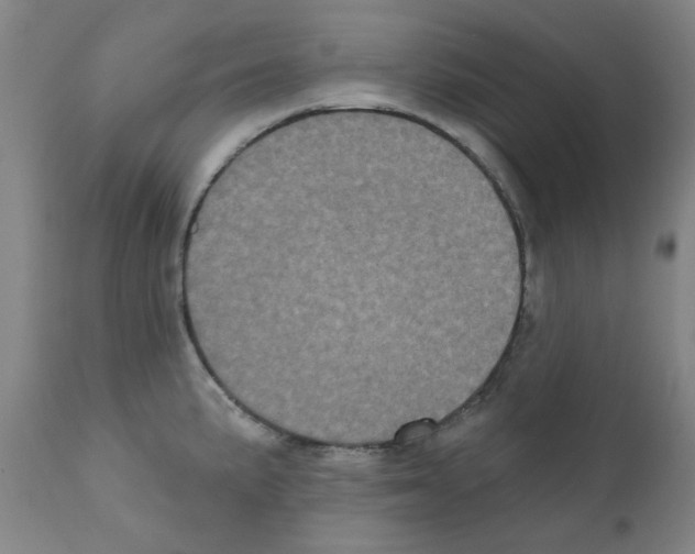 X0000110941191200907311009