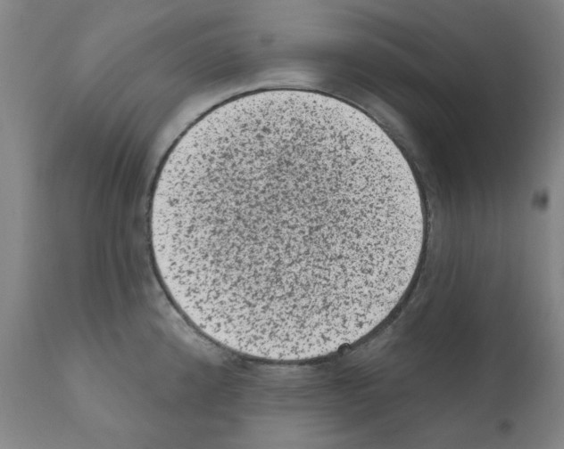 X0000110941192200907311009