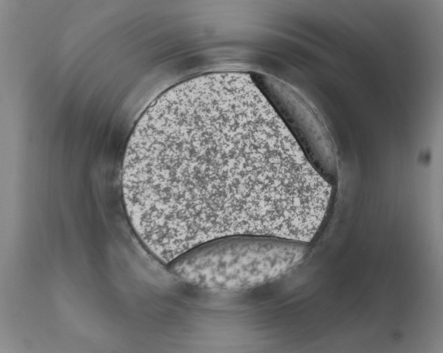 X0000110941193200907311009