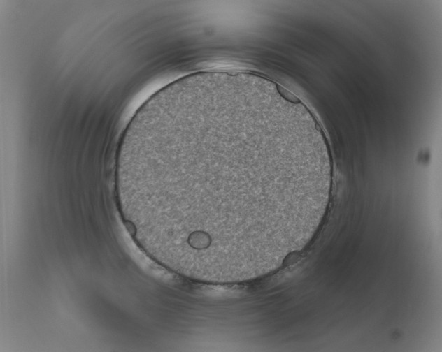 X0000110941195200907311009