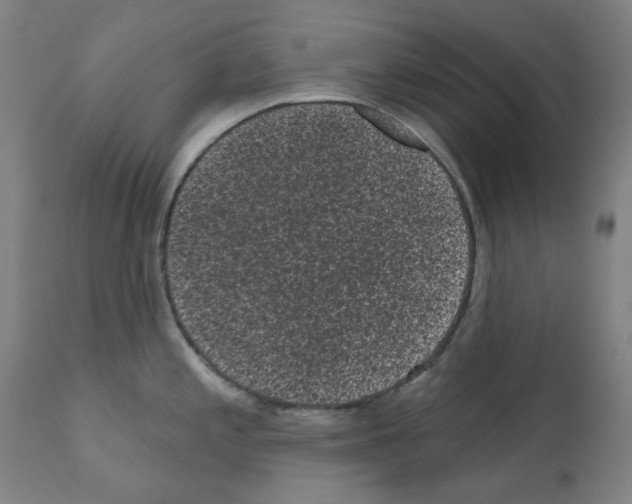 X0000110941197200907311009