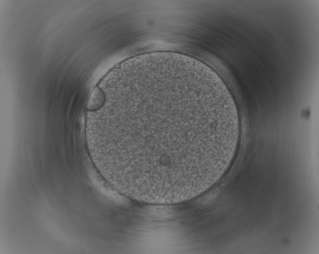 X0000110941198200907311009