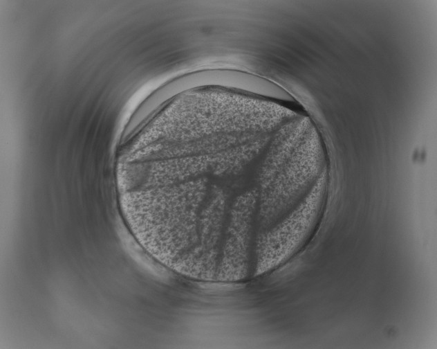 X0000110941200200907311009