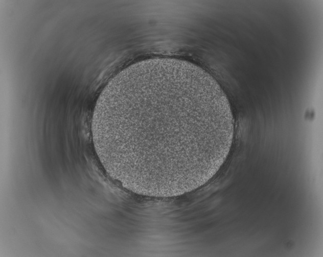 X0000110941202200907311008