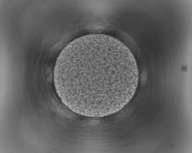 X0000110941204200907311008