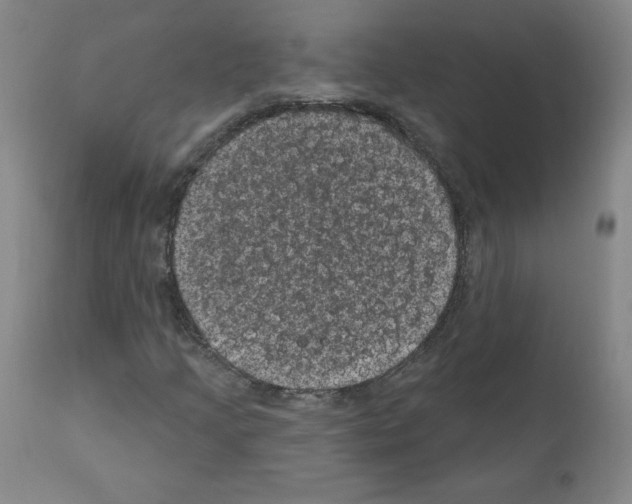 X0000110941205200907311008