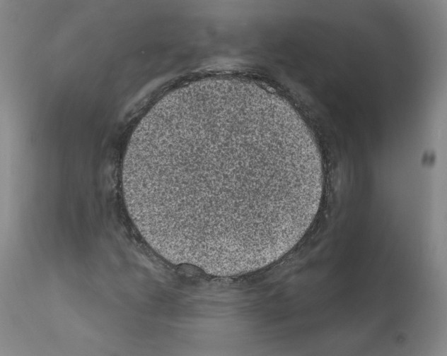 X0000110941206200907311008