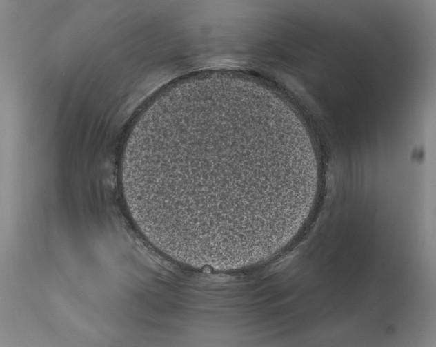 X0000110941209200907311008