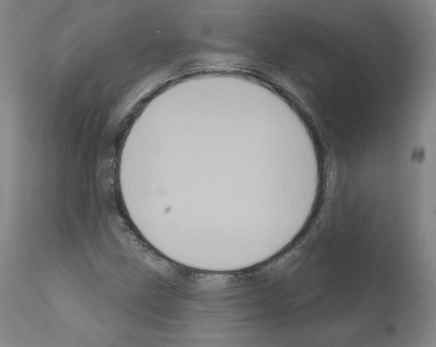X0000110941211200907311009