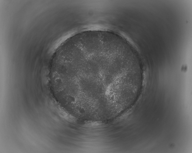 X0000110941213200907311009