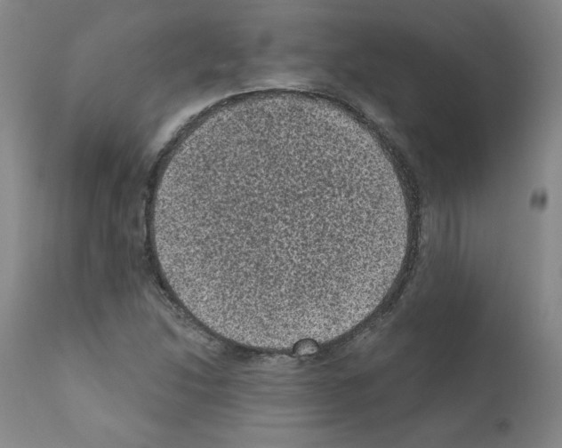 X0000110941214200907311009
