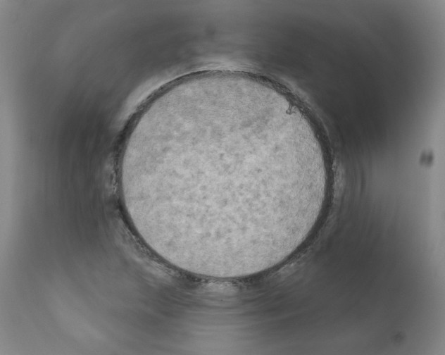 X0000110941215200907311009