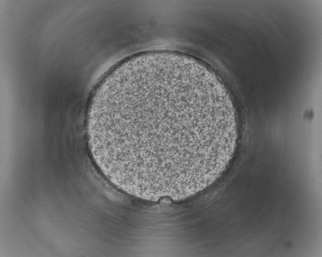 X0000110941216200907311009