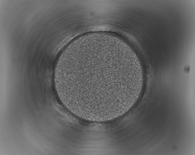 X0000110941217200907311009