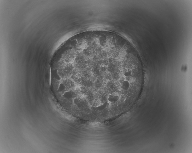 X0000110941219200907311009