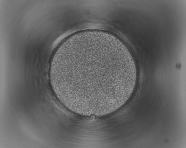 X0000110941222200907311009