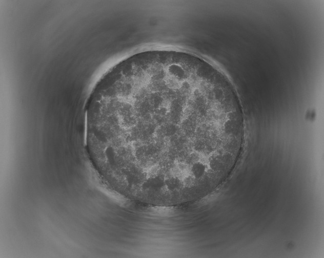 X0000110941223200907311009