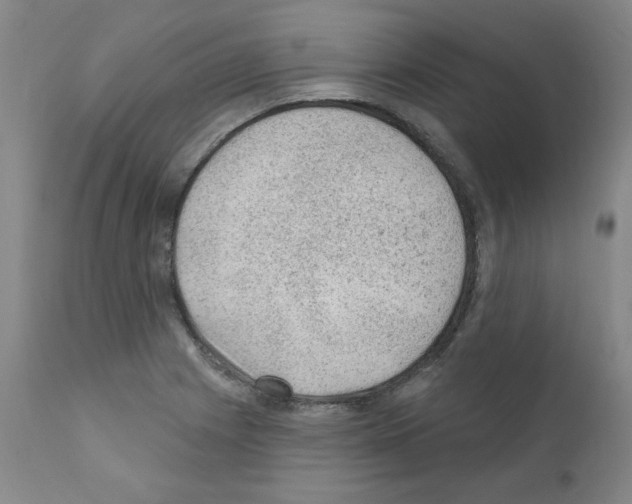 X0000110941225200907311009