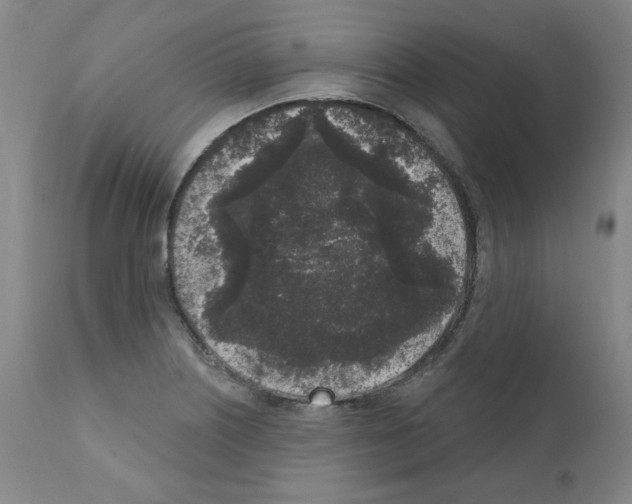 X0000110941226200907311009