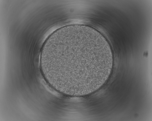 X0000110941227200907311009