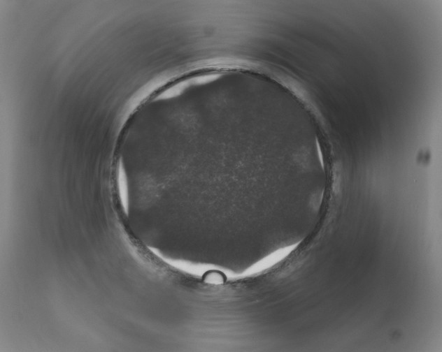X0000110941229200907311009