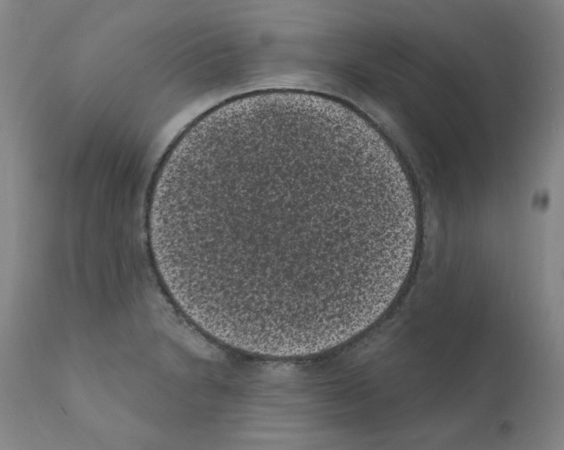 X0000110941230200907311009