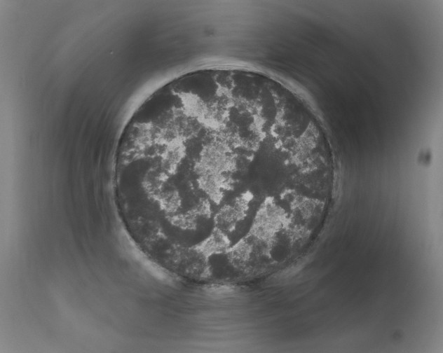 X0000110941231200907311009