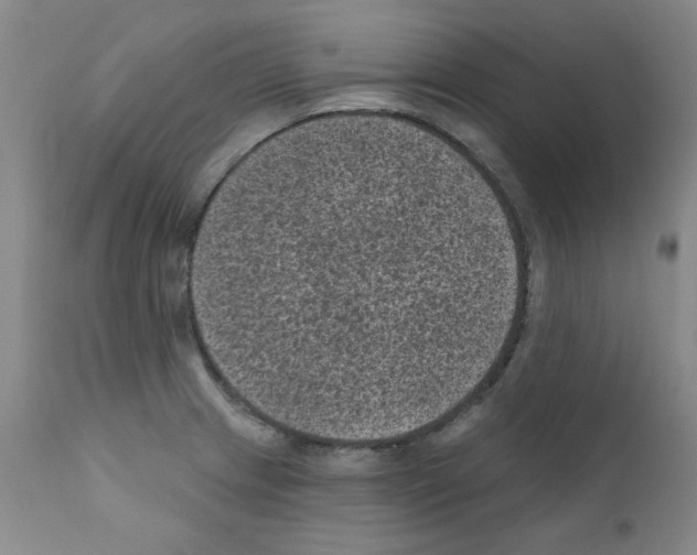 X0000110941233200907311009