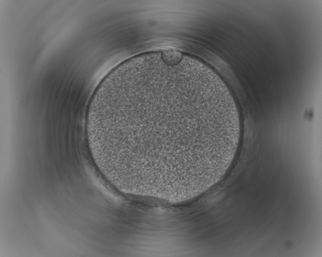 X0000110941234200907311009