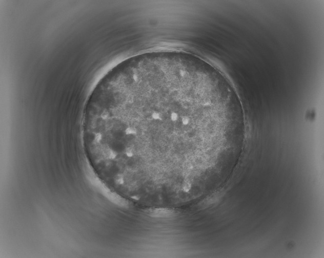 X0000110941235200907311009