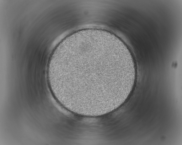 X0000110941237200907311009