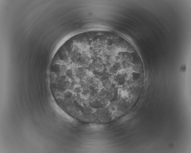 X0000110941243200907311009