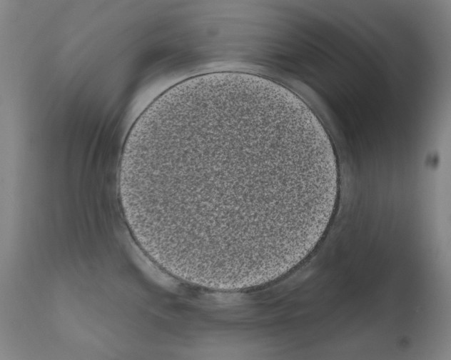 X0000110941244200907311009