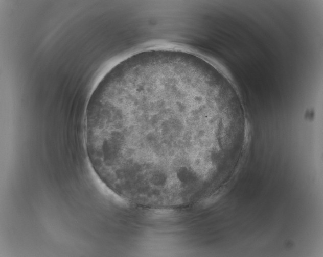 X0000110941247200907311009