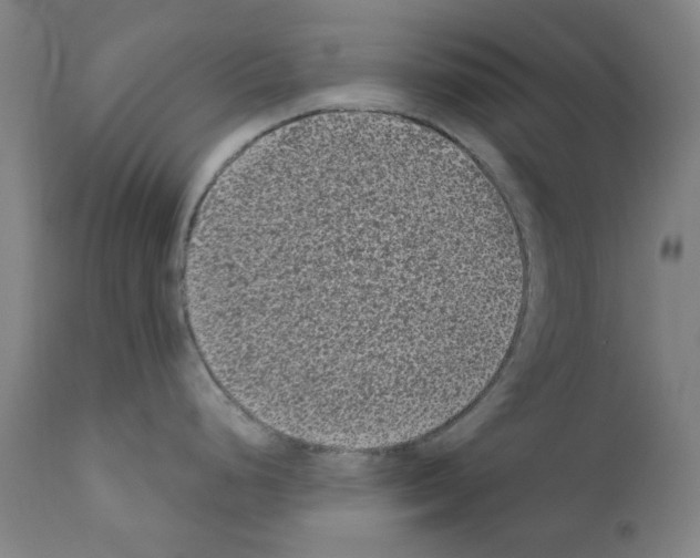 X0000110941248200907311009