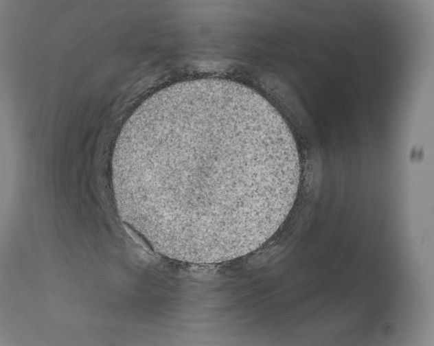 X0000110941249200907311008