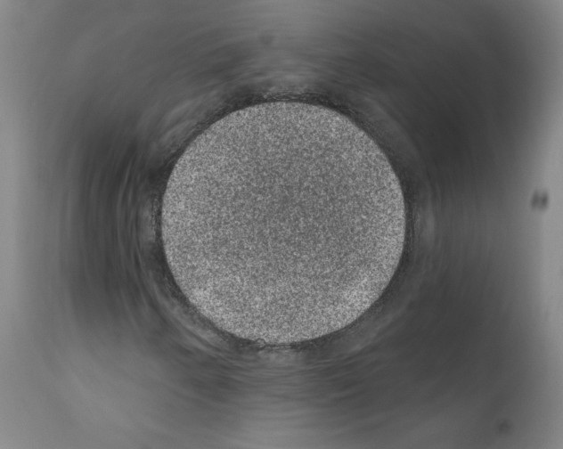 X0000110941250200907311008