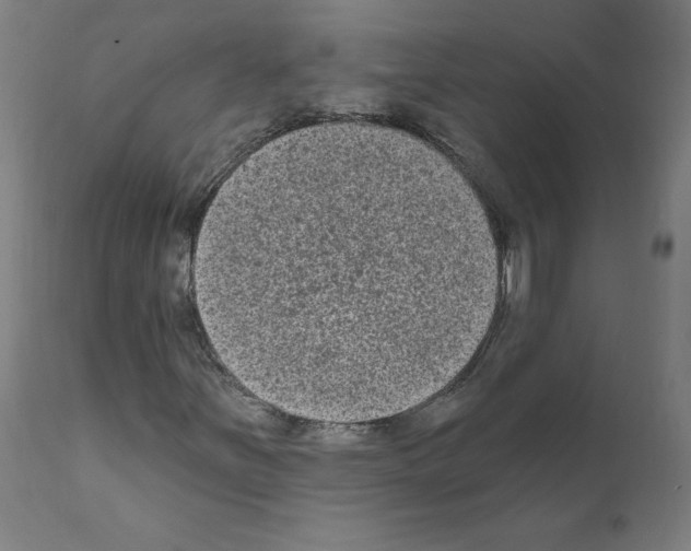 X0000110941251200907311008