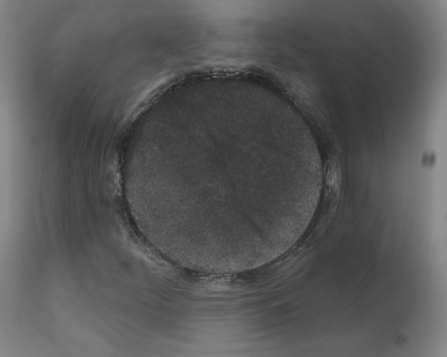 X0000110941252200907311008